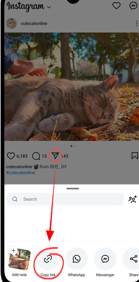 Copy the link 
