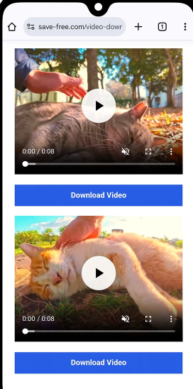  Click on download icon